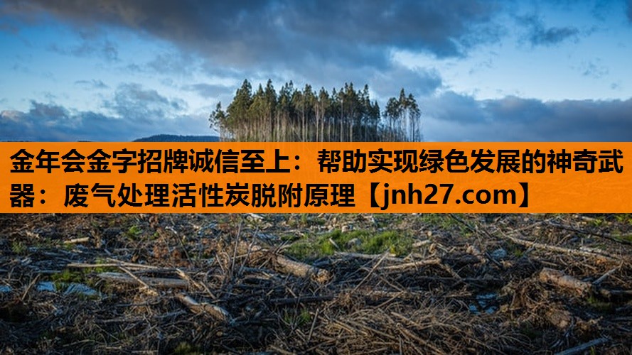 金年会金字招牌诚信至上：帮助实现绿色发展的神奇武器：废气处理活性炭脱附原理