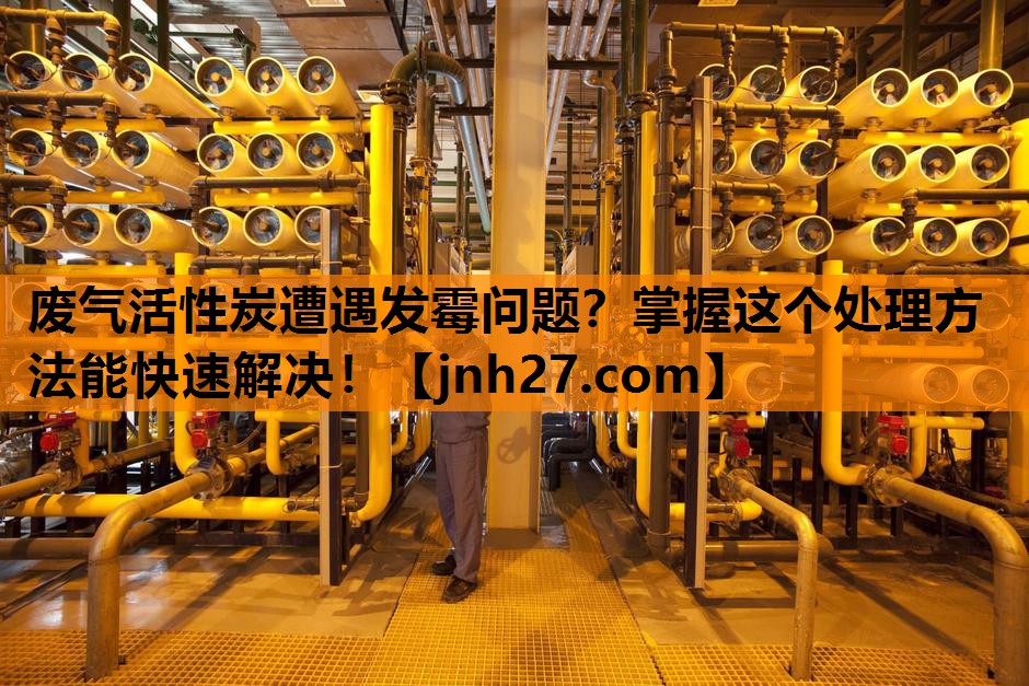 废气活性炭遭遇发霉问题？掌握这个处理方法能快速解决！