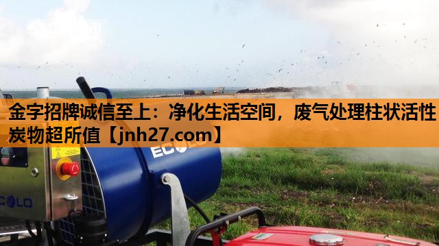 净化生活空间，废气处理柱状活性炭物超所值