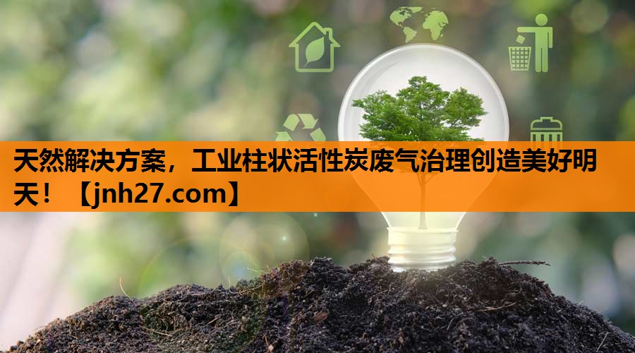 天然解决方案，工业柱状活性炭废气治理创造美好明天！