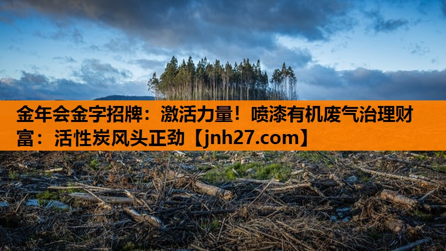 激活力量！喷漆有机废气治理财富：活性炭风头正劲