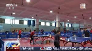 乒乓球台上的男女叫什么